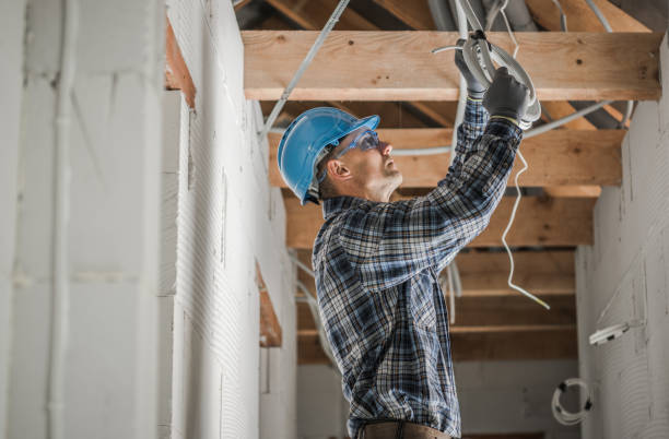 Best Electrical Rewiring Services  in Frankford, DE